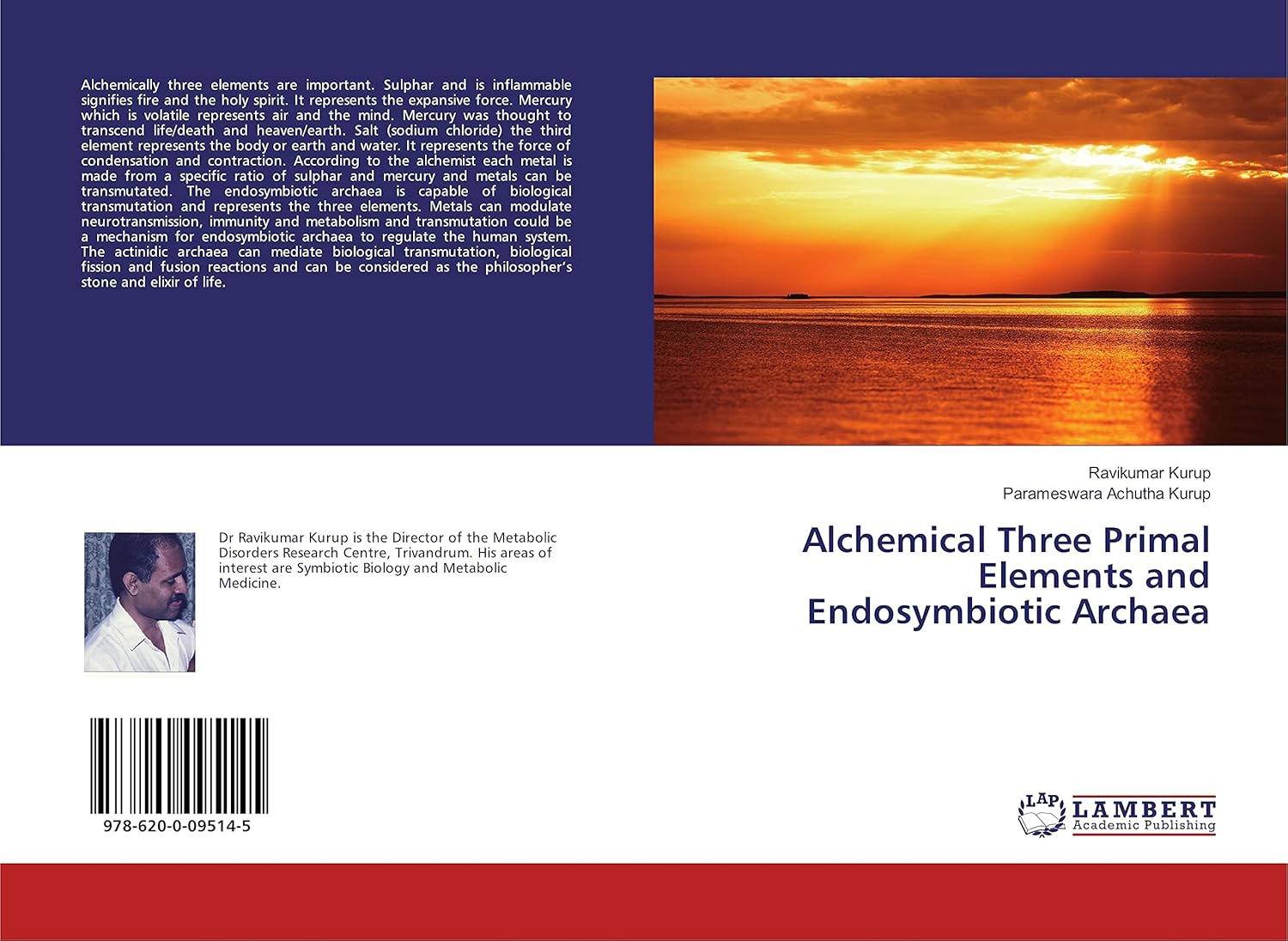 Alchemical Three Primal Elements and Endosymbiotic Archaea