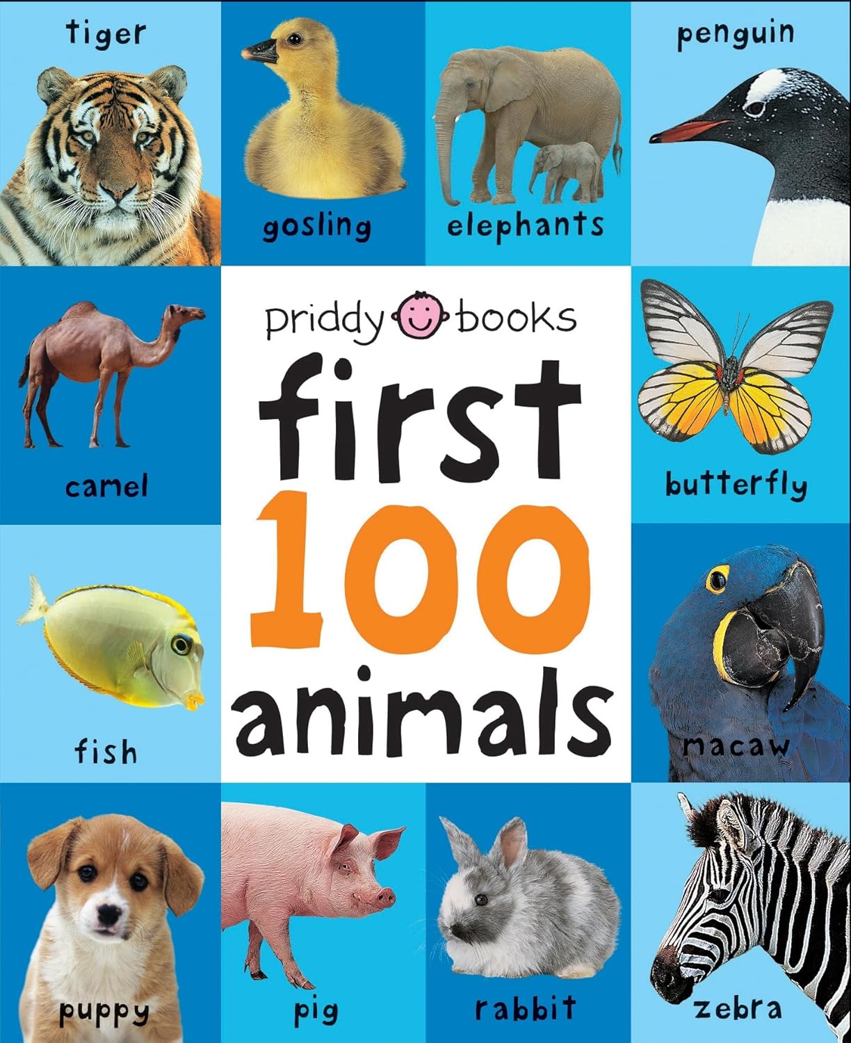 First 100 Animals: First 100 Soft To Touch