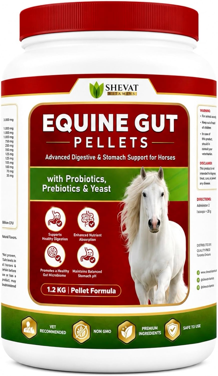 Equine Gut Pellets for Horses – Advanced Digestive & Microbiome Support with Probiotics, Prebiotics, Collagen & L-Glutamine | Premium Non-GMO Horse Gut Supplement | 1.2 kg