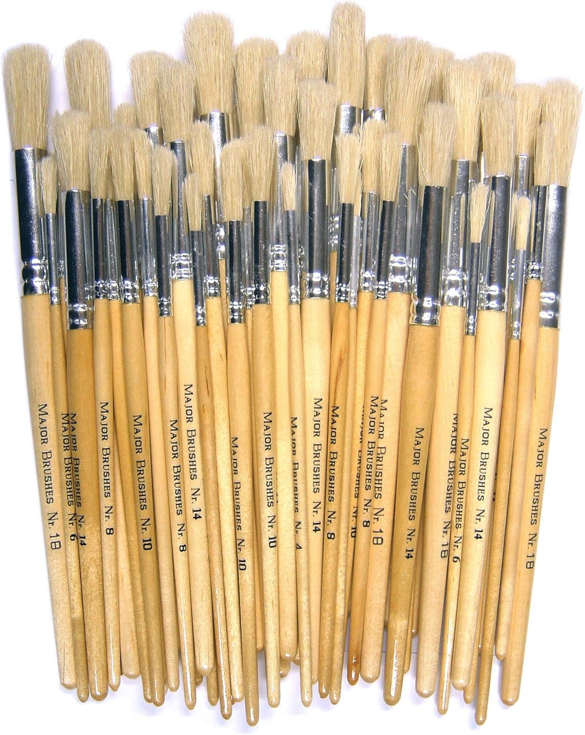 Major Brushes Hog Bristle Short Round Brushes - Assorted Pack of 60