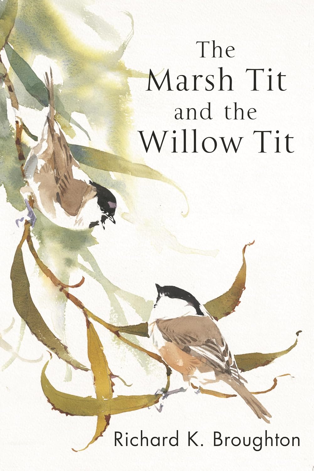 The Marsh Tit and The Willow Tit (Poyser Monographs)