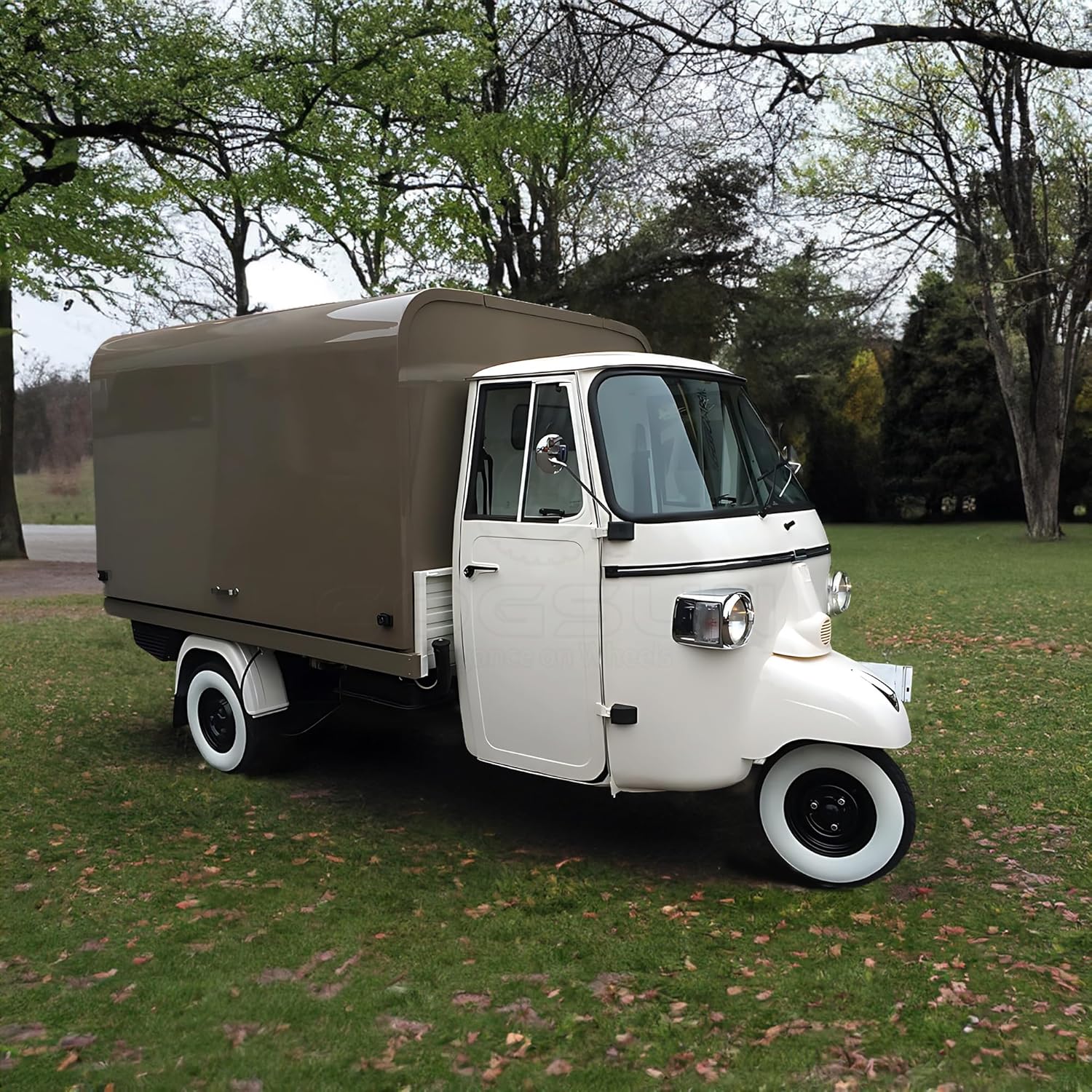 Customized APE Food Truck with Pizza Truck Concession Trailer for Sale Food APE Vending Cart Mobile Food Trucks for Sale Fast Food Cart Deposit