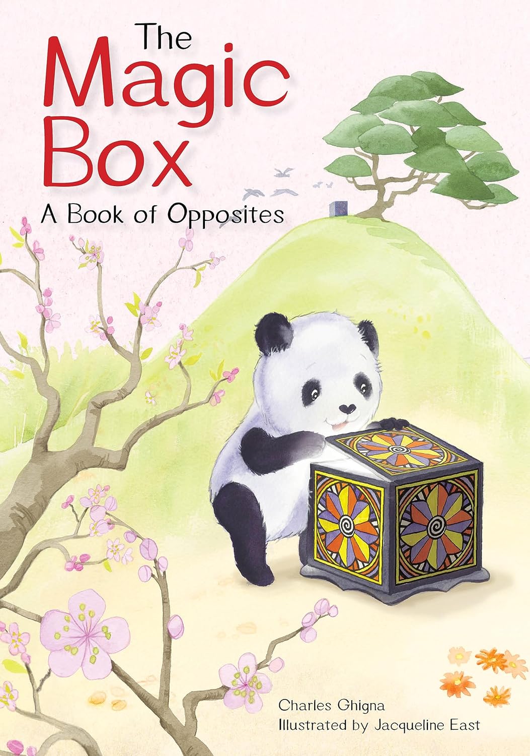 The Magic Box: A Book of Opposites
