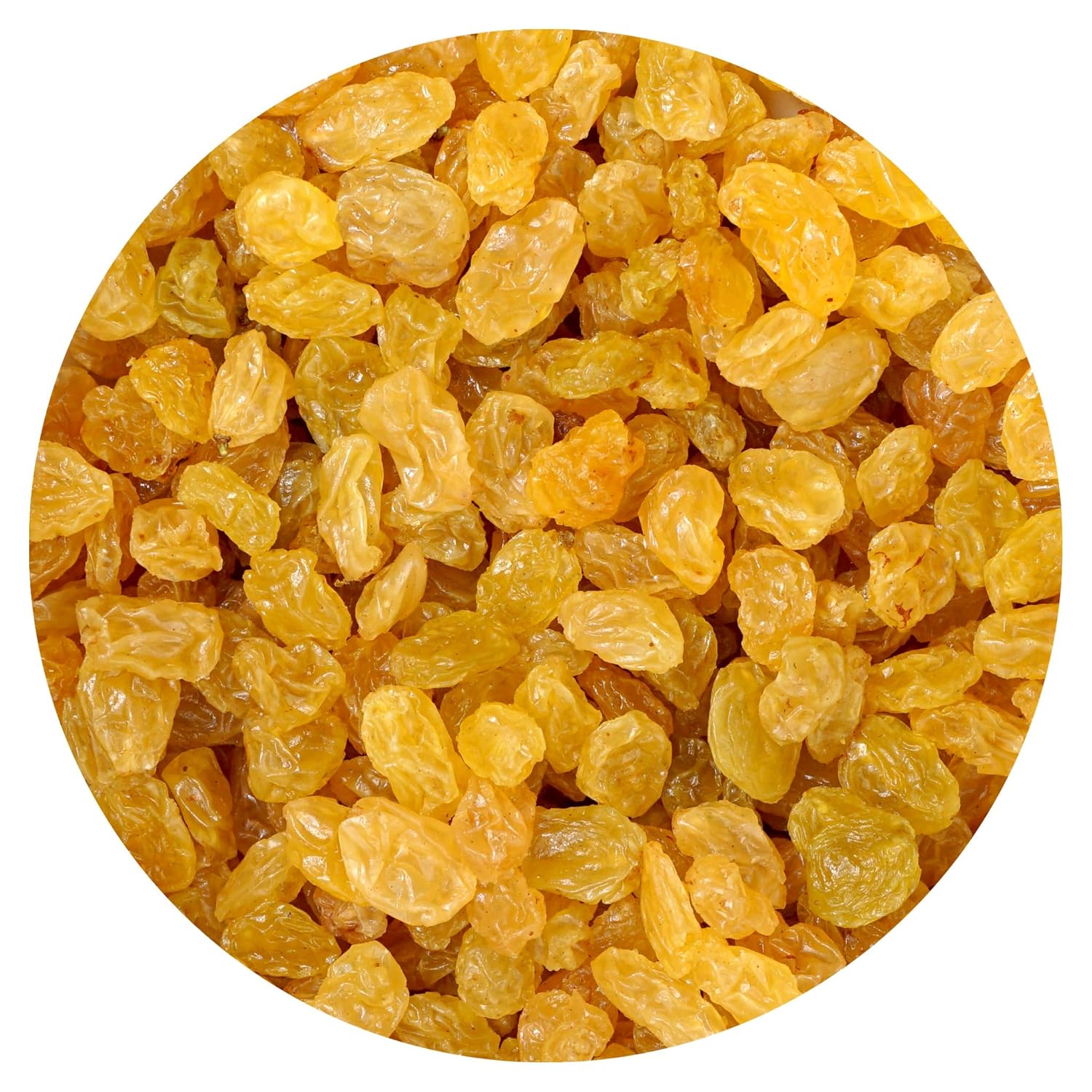 Golden Raisins, 1 Pound Bag Raisins, The Hampton Popcorn & Candy Company