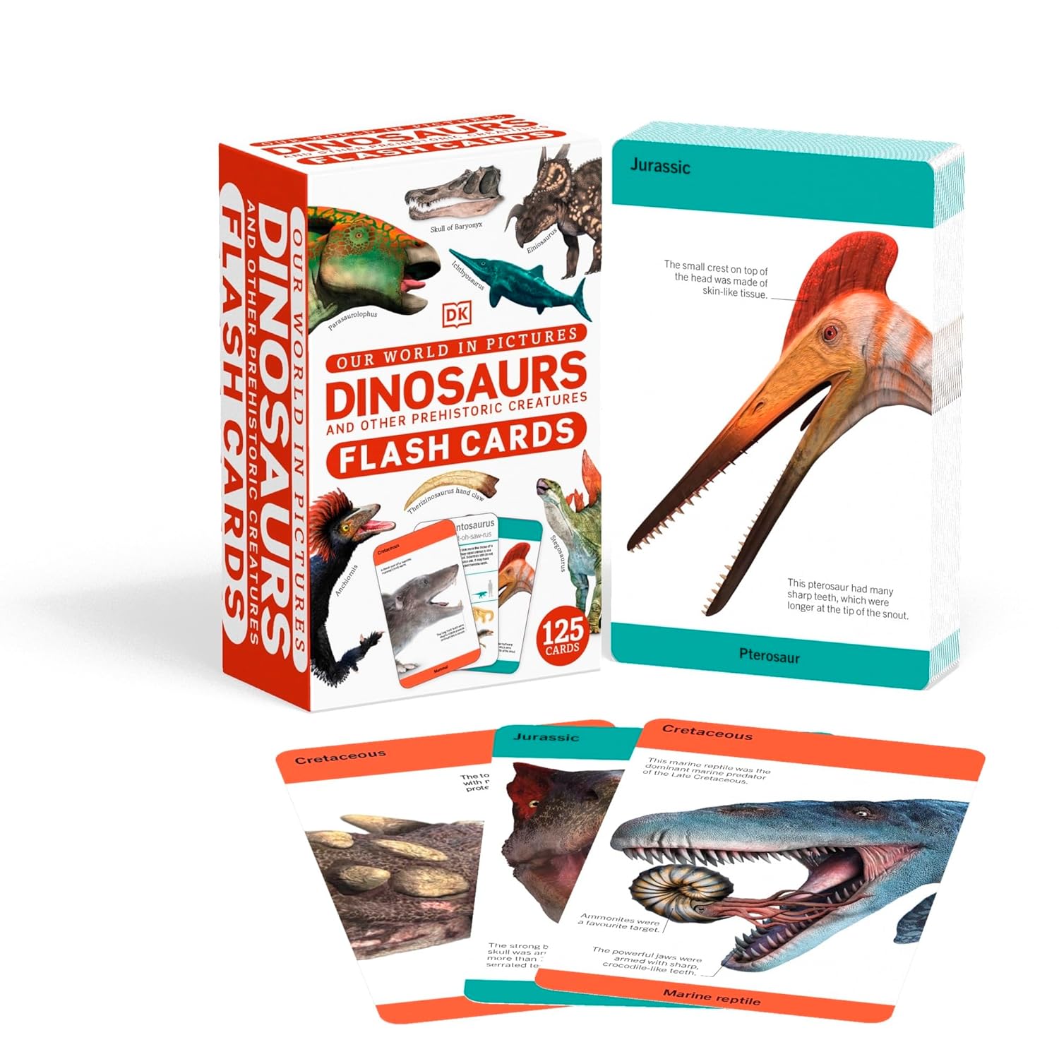 Our World in Pictures Dinosaurs and Other Prehistoric Creatures Flash Cards (DK Our World in Pictures)