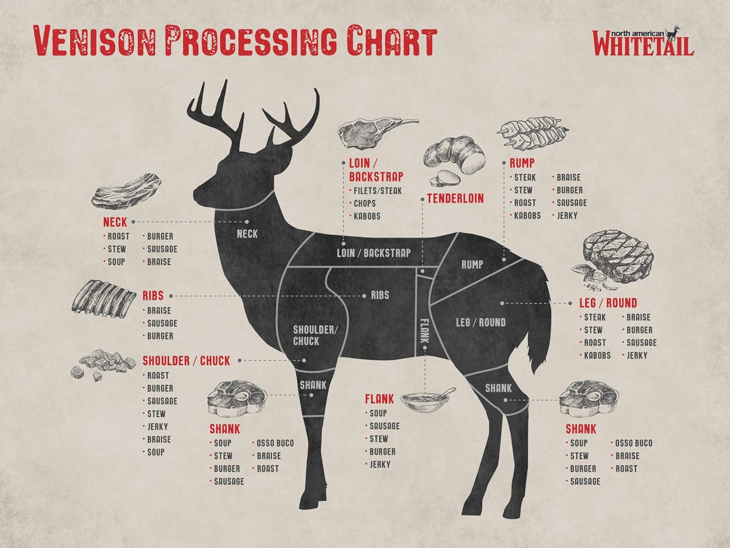 Cuts of Venison Butcher Chart Poster 24x16