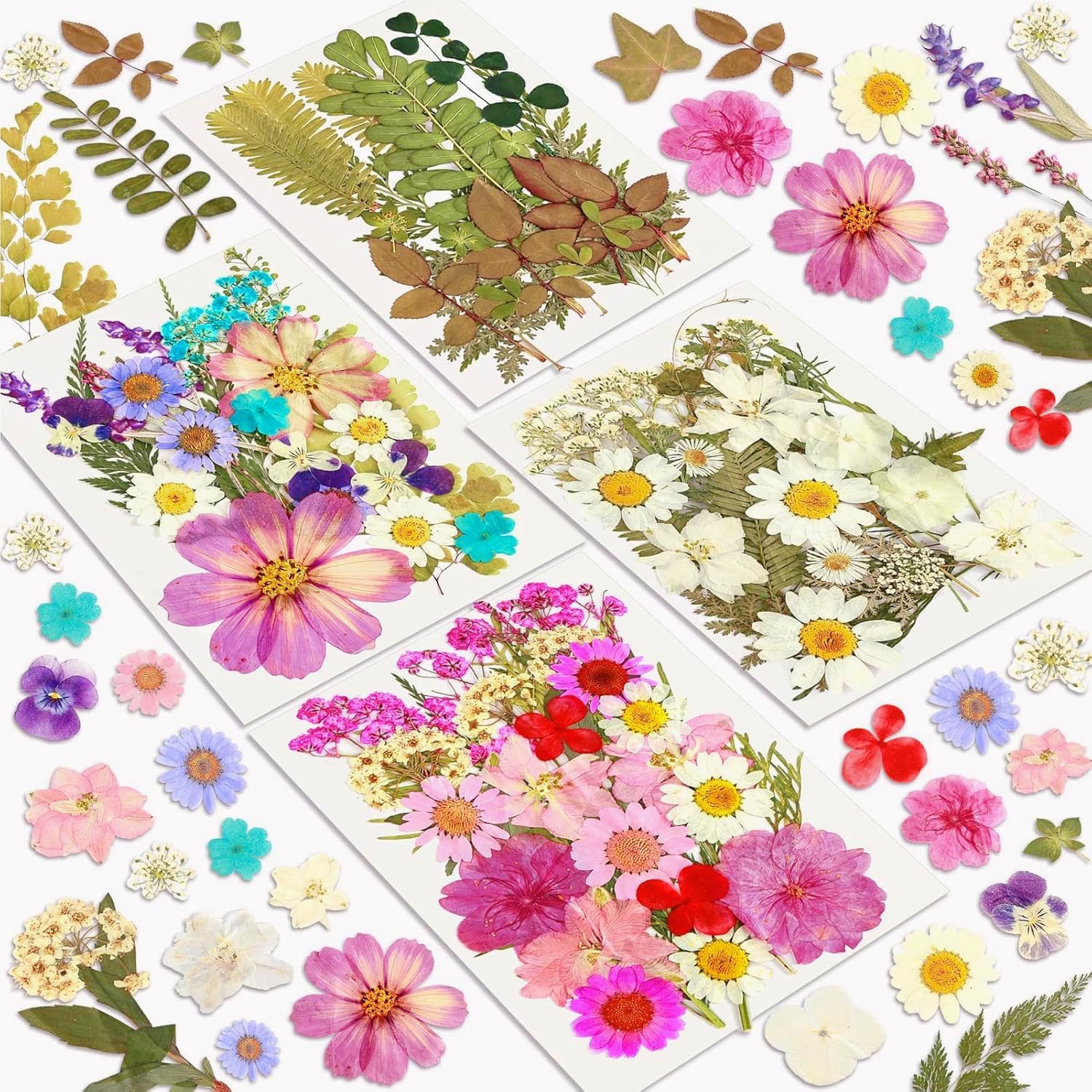 Dried Flowers, Resiners 100Pcs Pressed Flowers for Craft Purple Real Natural Dried Flowers Dry Leaves Kit for DIY Making Crafts Resin Soap Candle Scrapbook Supplies Card Making Jewelry