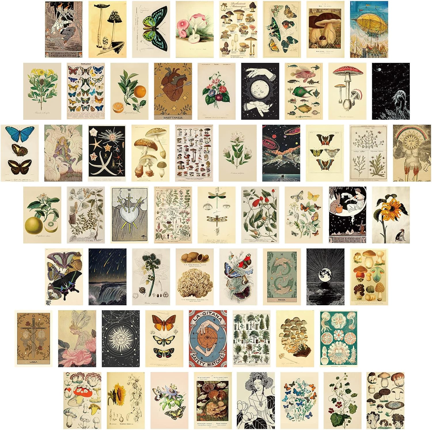 Gersoniel 60 PCS Vintage Collection Postcard Set Retro Style Botanical Butterfly Mushroom Nature and Ephemera Postcards for DIY Card Paper