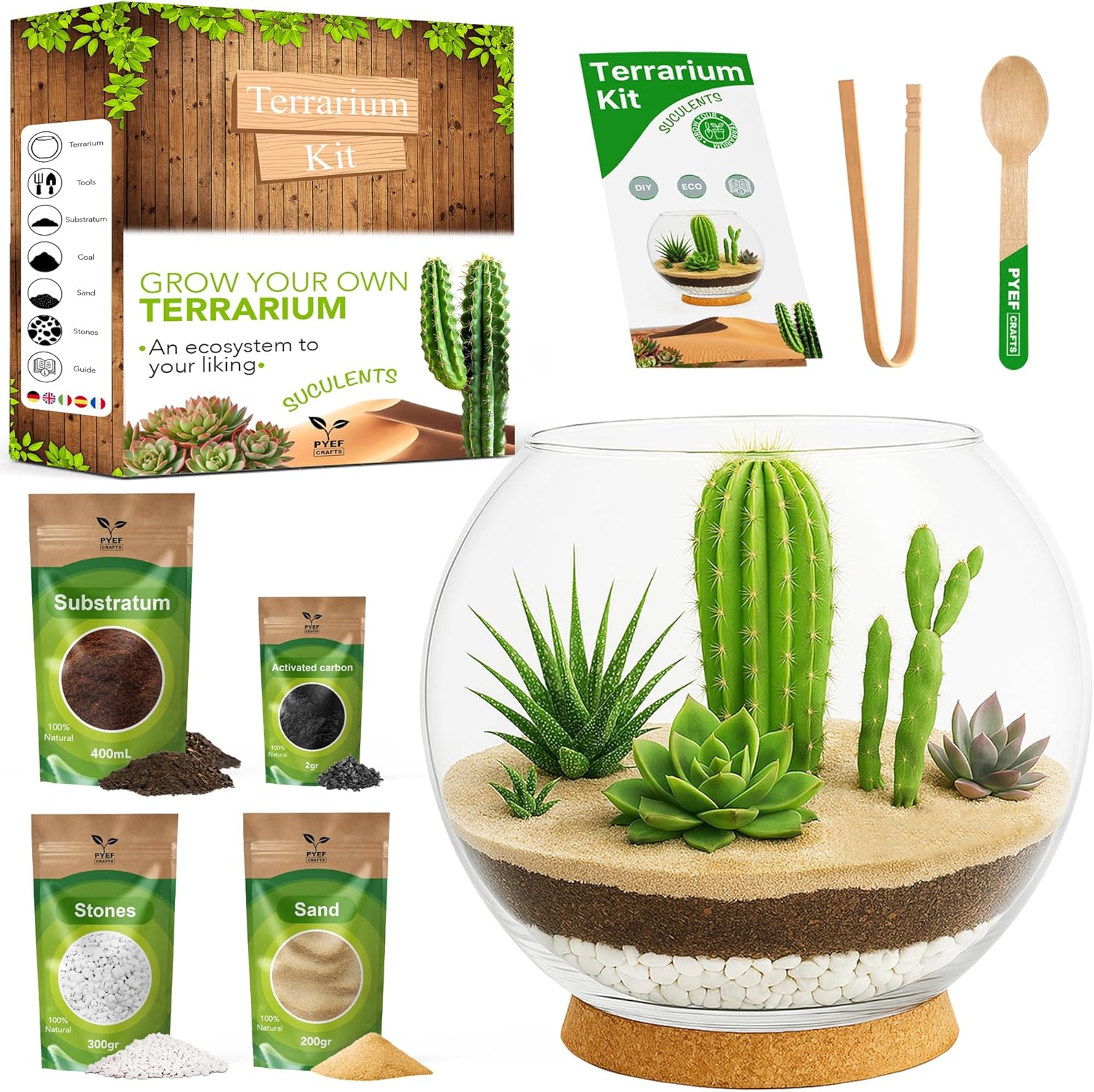 PYEF CRAFTS DIY Terrarium Kit for Succulent Plants & Cactus - Starter Set with Glass Bowl Included - Make your Own Terrarium Kit with Jar, Sand, Soil, Charcoal, Stones and Tools (Without Plants)