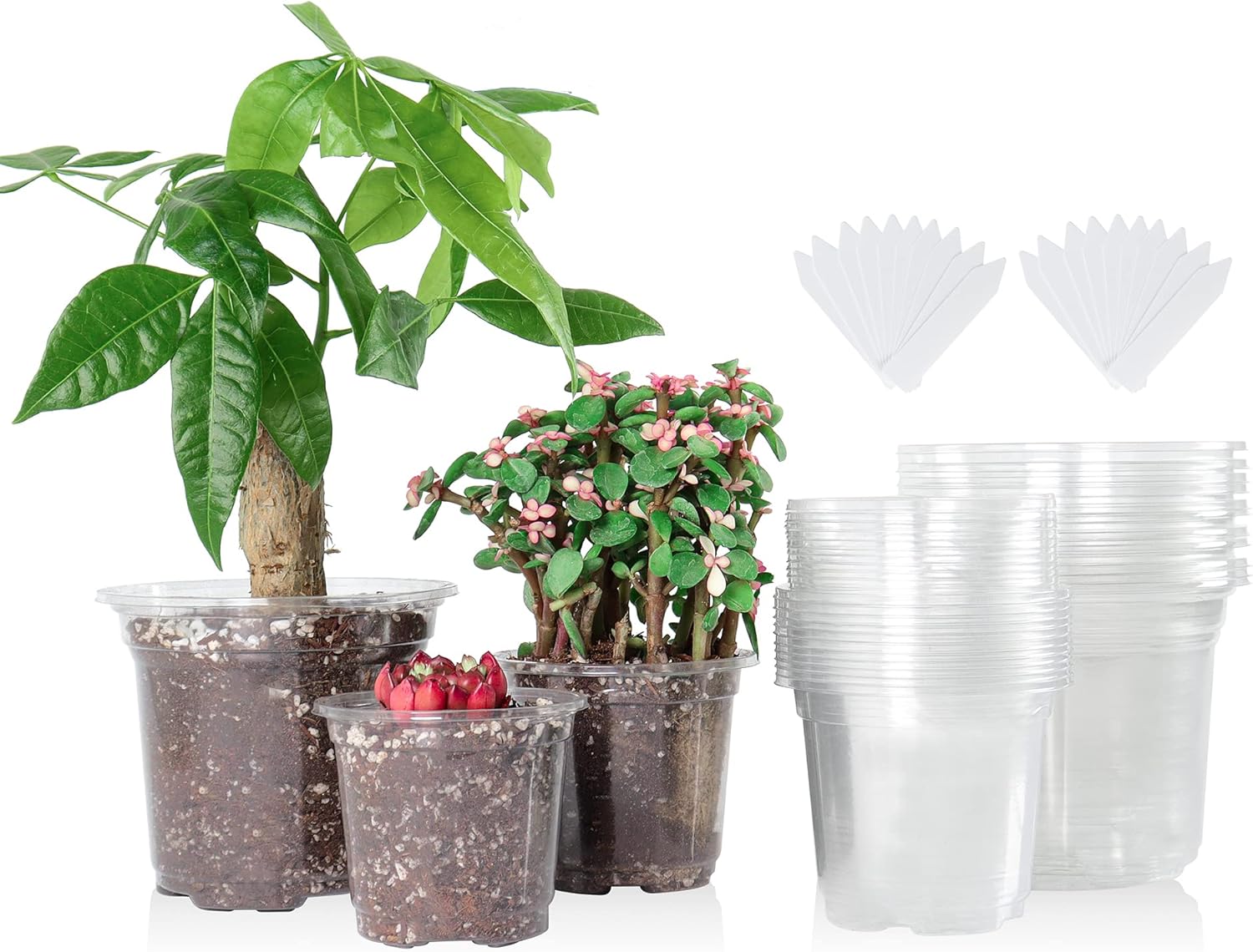 36 Packs 5/4/3.5 Inch Reinforced Clear Nursery Pots with Drainage Hole, Transparent Variety Pack Plastic Plant Pot Seedling Planter Seed Starter Flower 20pcs Labels