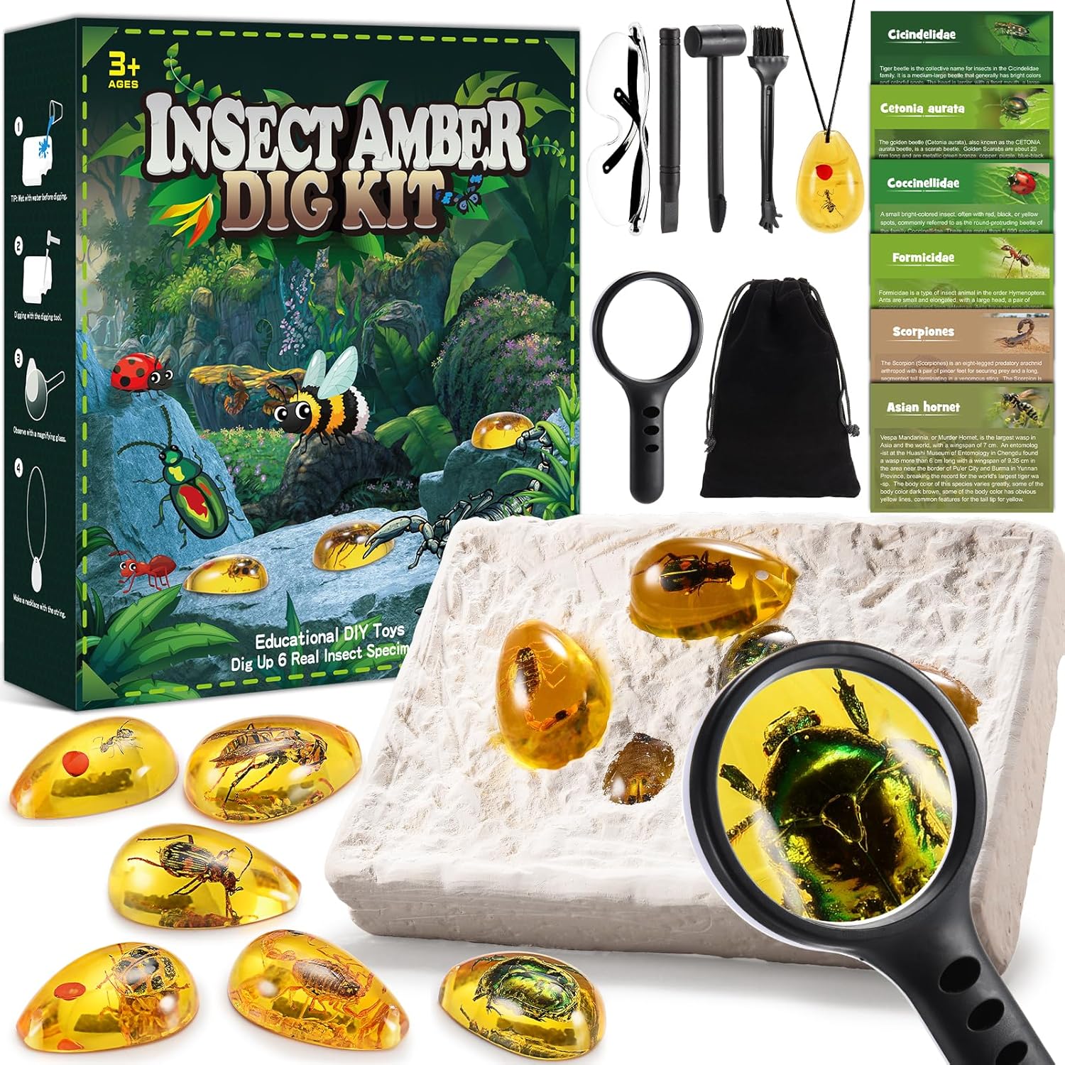 Boys Toys Age 5 6 7 8 9 10 11, Geebiiny Fossil Hunting Kit 6-12 Year Old Boy Gifts Crystals and Gemstones butterfly kits with live caterpillars Science Kit Educational Toys for 5-12 year old Boys