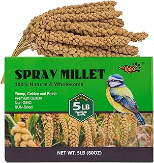 RANZ 5LBS Millet Spray for Birds, GMO-Free, Sun Dried Spray Millet, Original Bird Treats & Supplement for Parrots, Cockatiels, Lovebirds, Painted Buntings and Finches, Parakeets Food Millet