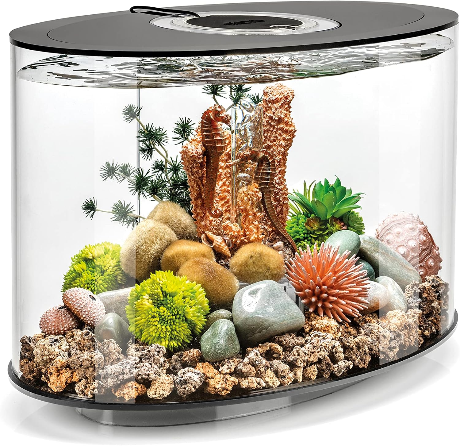 biOrb Loop 15 Acrylic 4-Gallon Aquarium with White LED Lights Modern Compact Tank for Tabletop or Desktop Display, Black-Trimmed Tank
