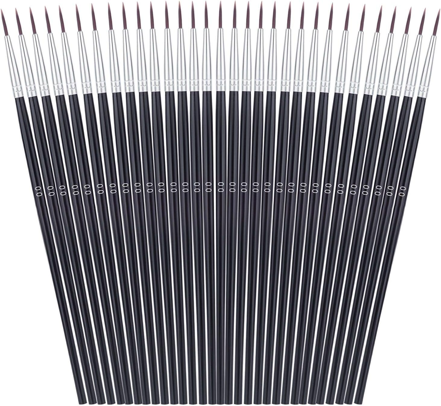 Anezus 30 Pcs Pack of Synthetic Sable Fine Detail Paint Brushes Set for Miniature, Scale Model, Art Painting in Acrylic, Oil, Watercolor