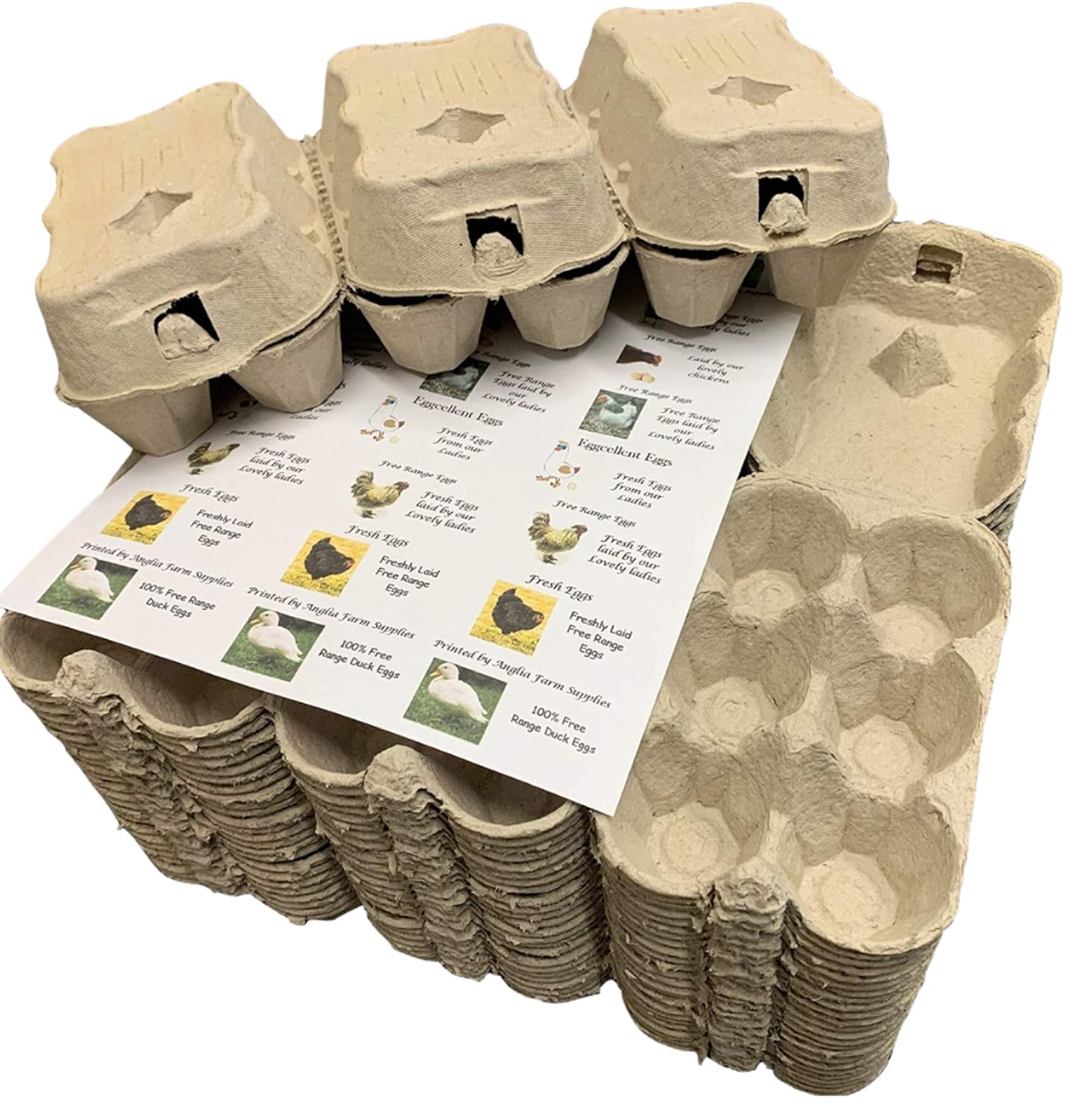 Anglia Farm Supplies 100 Cardboard egg boxes half dozen cartons for medium to large eggs with 24 labels