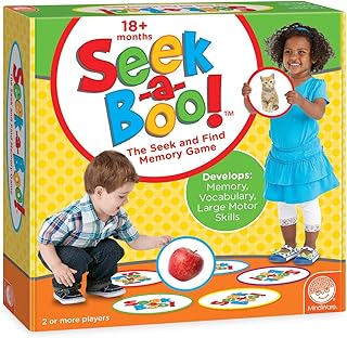 Seek-a-Boo Game