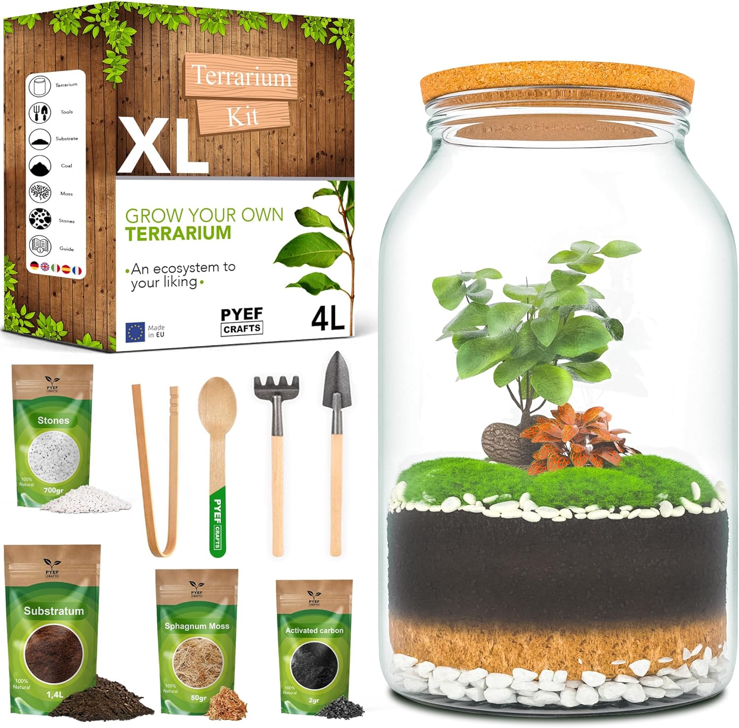DIY Terrarium Kit XL PYEF CRAFTS - 4L Glass Terrarium Starter Set for Self Sustaining Ecosystem - Large Jar DIY Kit for Plants - Without Plants (Set with Jar XL 4L)
