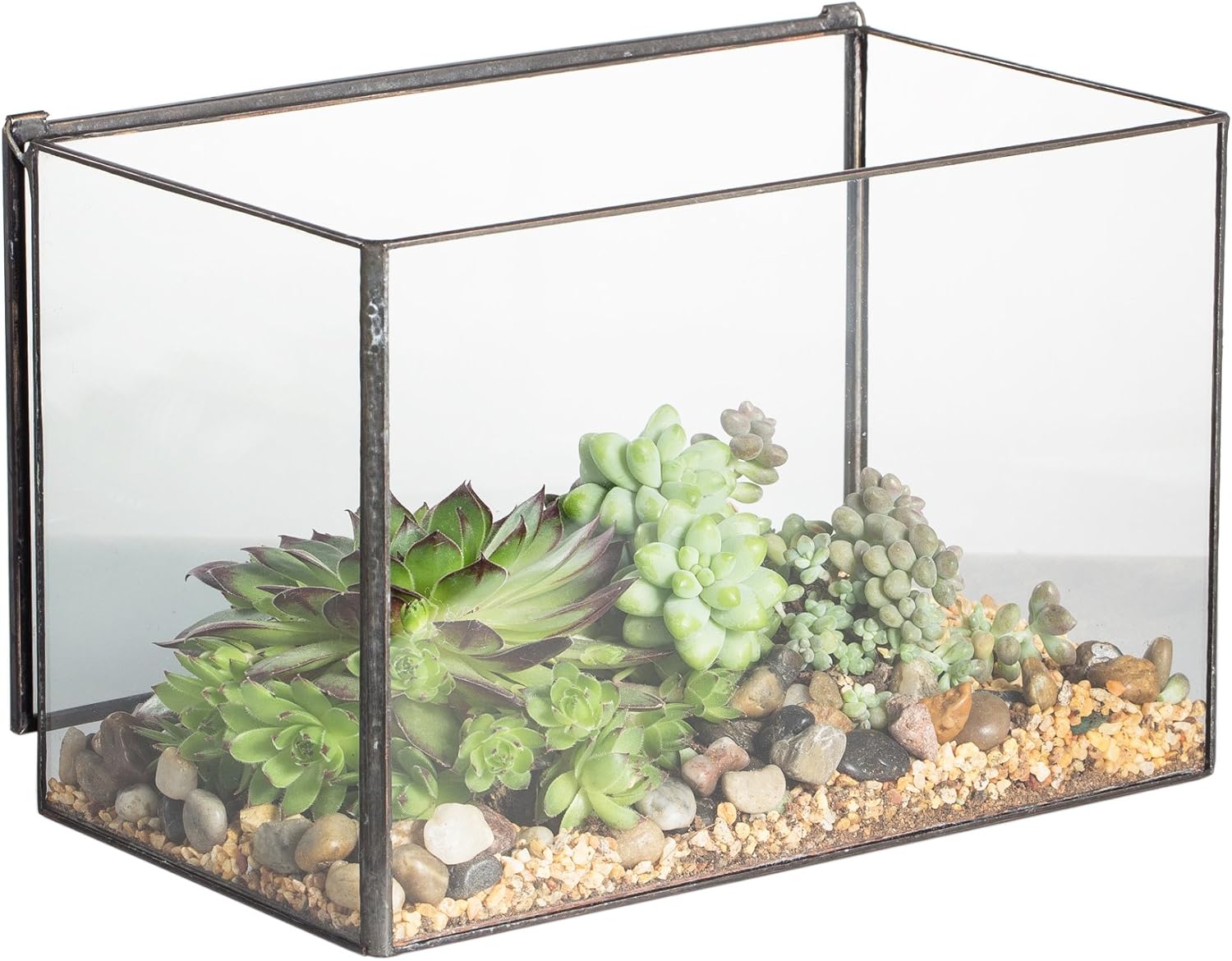 NCYP Small Rectangle Glass Terrarium Planter with Lid, 6.7 x 4 x 4.8 Inches Clear Black Geometric Flower Pot Box for Succulents Air Plant Fern, Tabletop Decoration (No Plants)