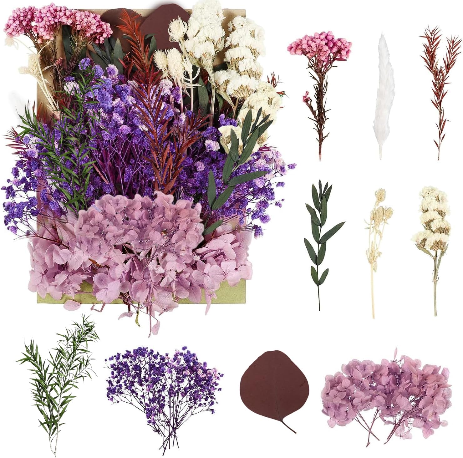 RUGBOL Dried Purple Lavender Flowers for Decoration, Dried Flowers, Floral Decoration, Purple