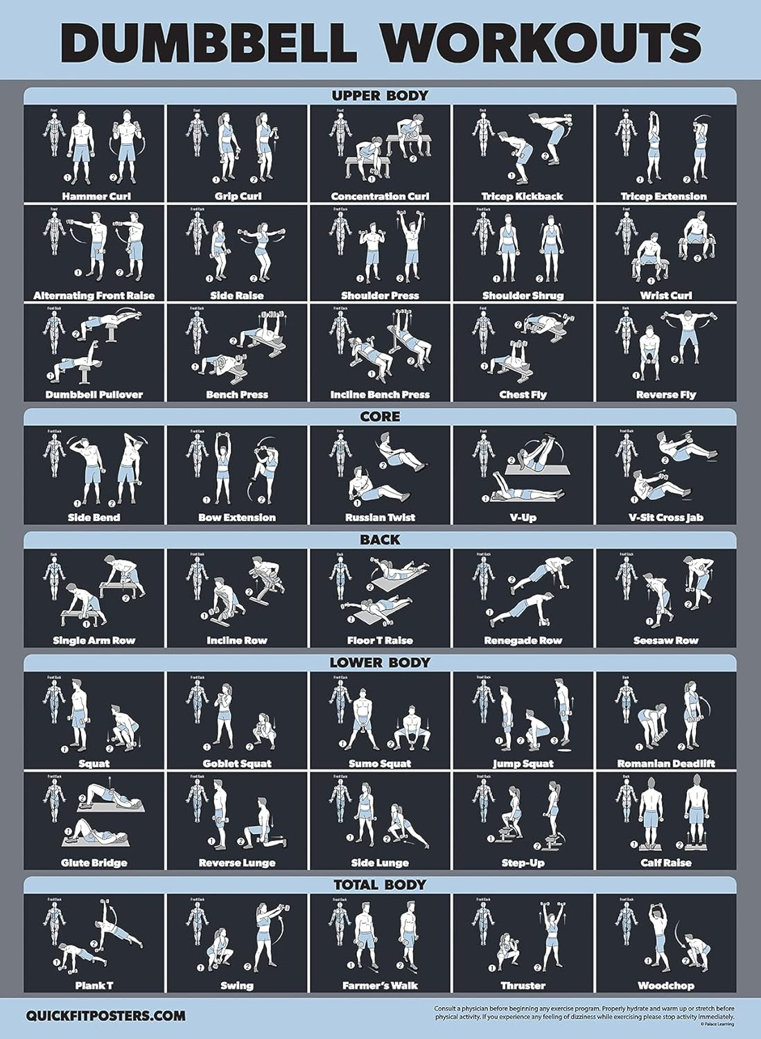 Palace Learning Dumbbell Workout Exercise Poster [Dark] (LAMINATED, 18" x 24")