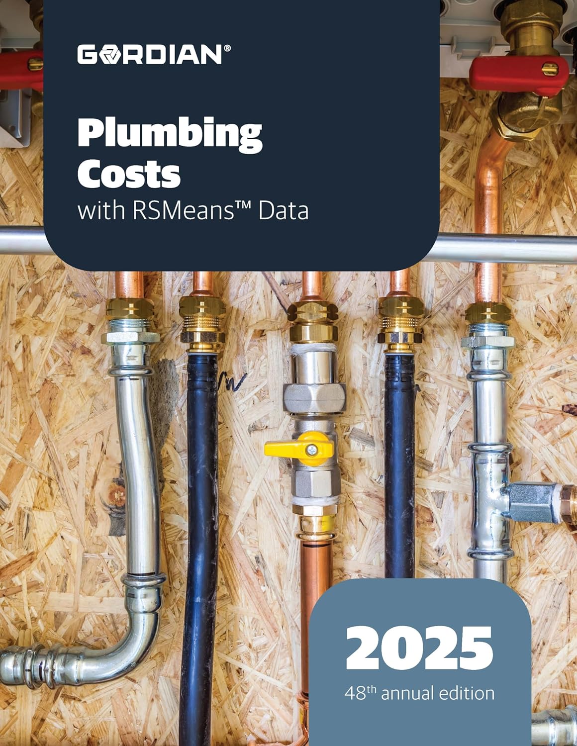 Plumbing Costs with RSMeans Data 2025