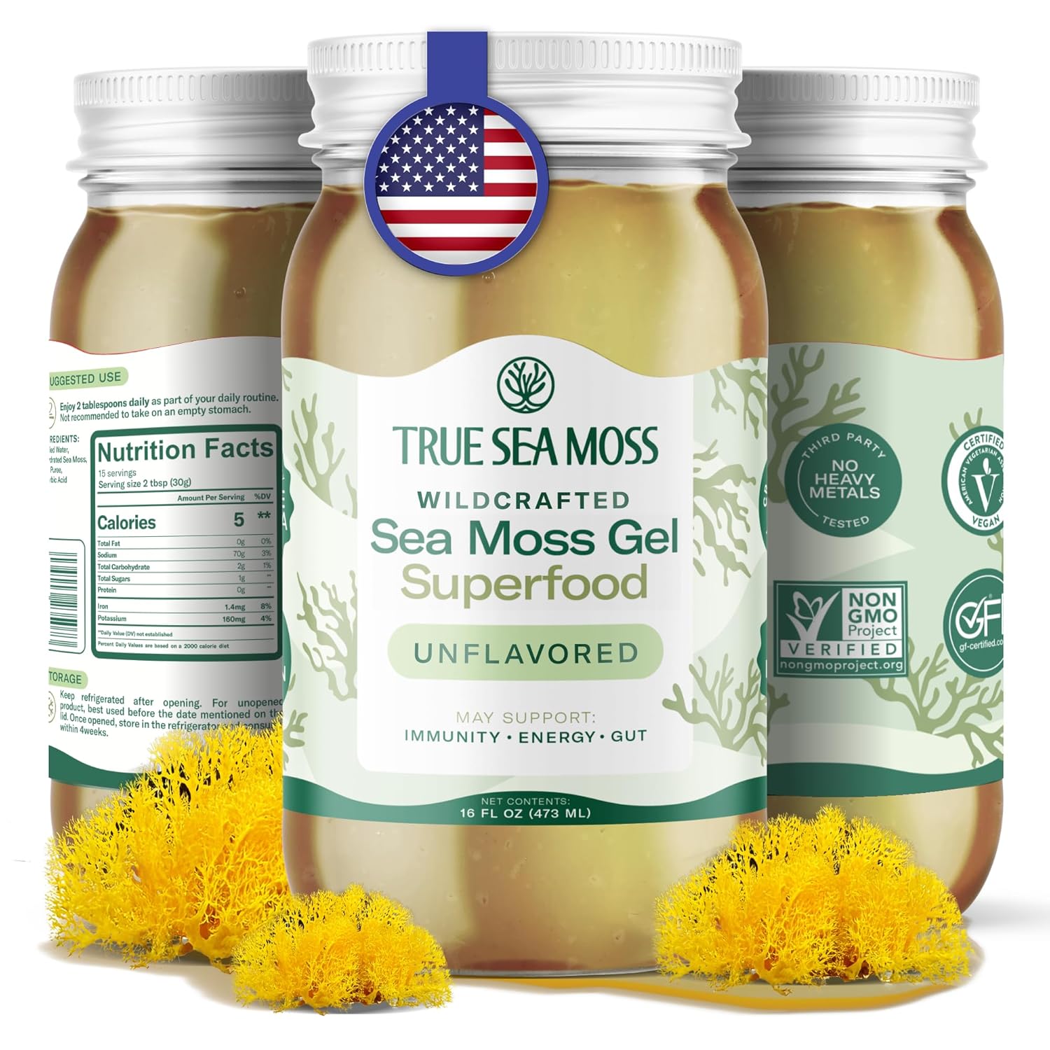 TrueSeaMoss Sea Moss Gel – Made in USA – Wildcrafted Seamoss, Dried Seaweed & Sea Vegetables – Original, Pack of 1 (Labels may Vary)