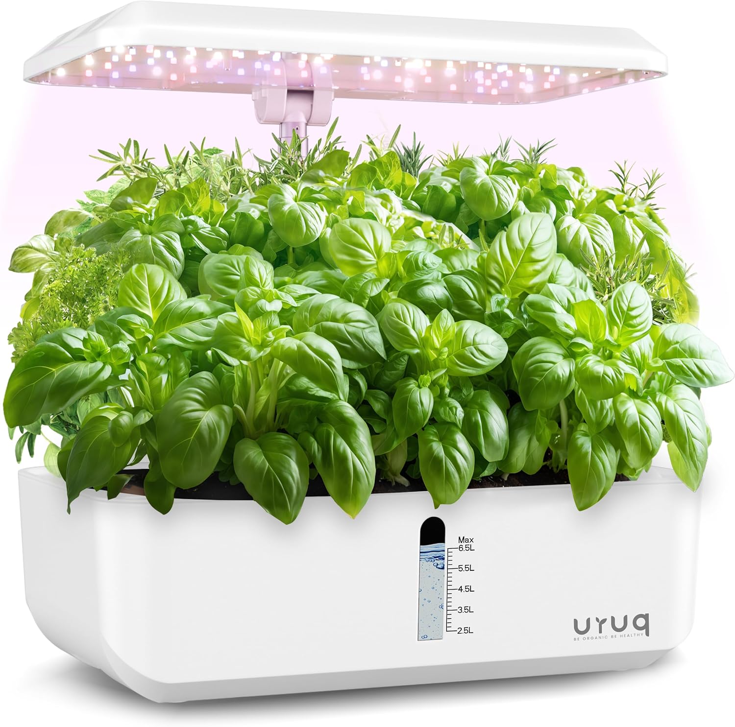 Hydroponics Growing System Indoor Garden: URUQ 12 Pods Indoor Gardening System with LED Grow Light Height Adjustable Plants Germination Kit Quiet Smart Pump - Hydroponic Planter Fresh Harvest White