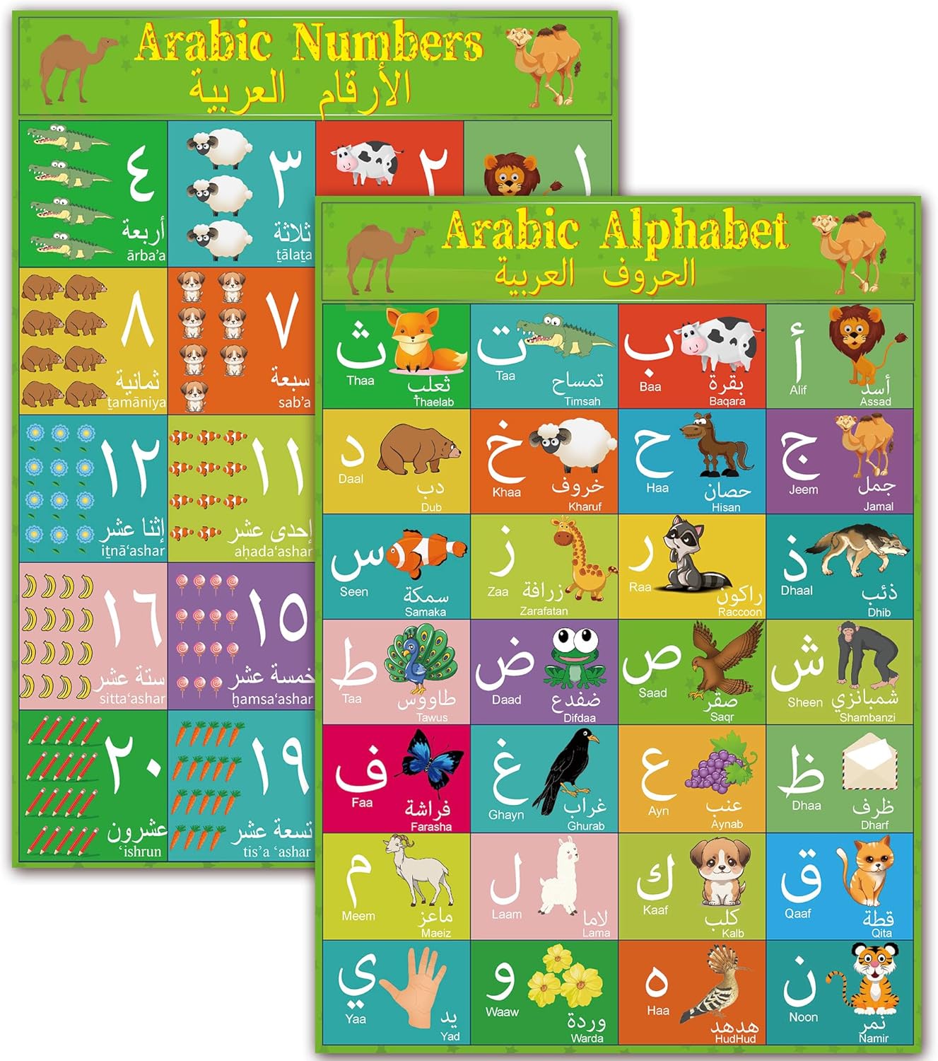 Arabic Alphabet Number Poster for Kids Arabic Alphabet Flash Cards with English Transliteration for Toddlers Kids Preschool & Kindergarten Classrooms