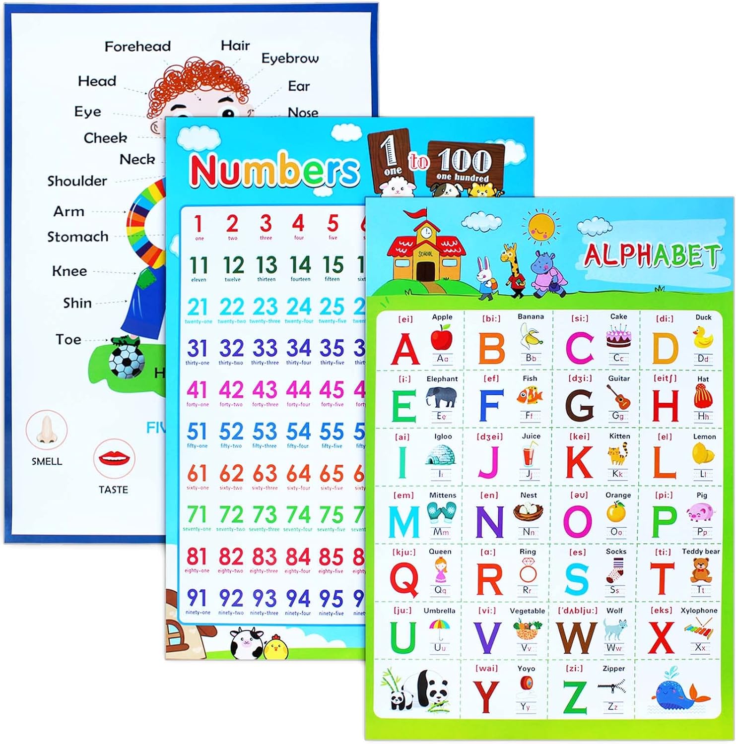 3 Pieces Educational Posters, ICEBLUEOR Laminated Wall Chart Number Senses and Alphabet Posters, Kids Room Classroom Decoration