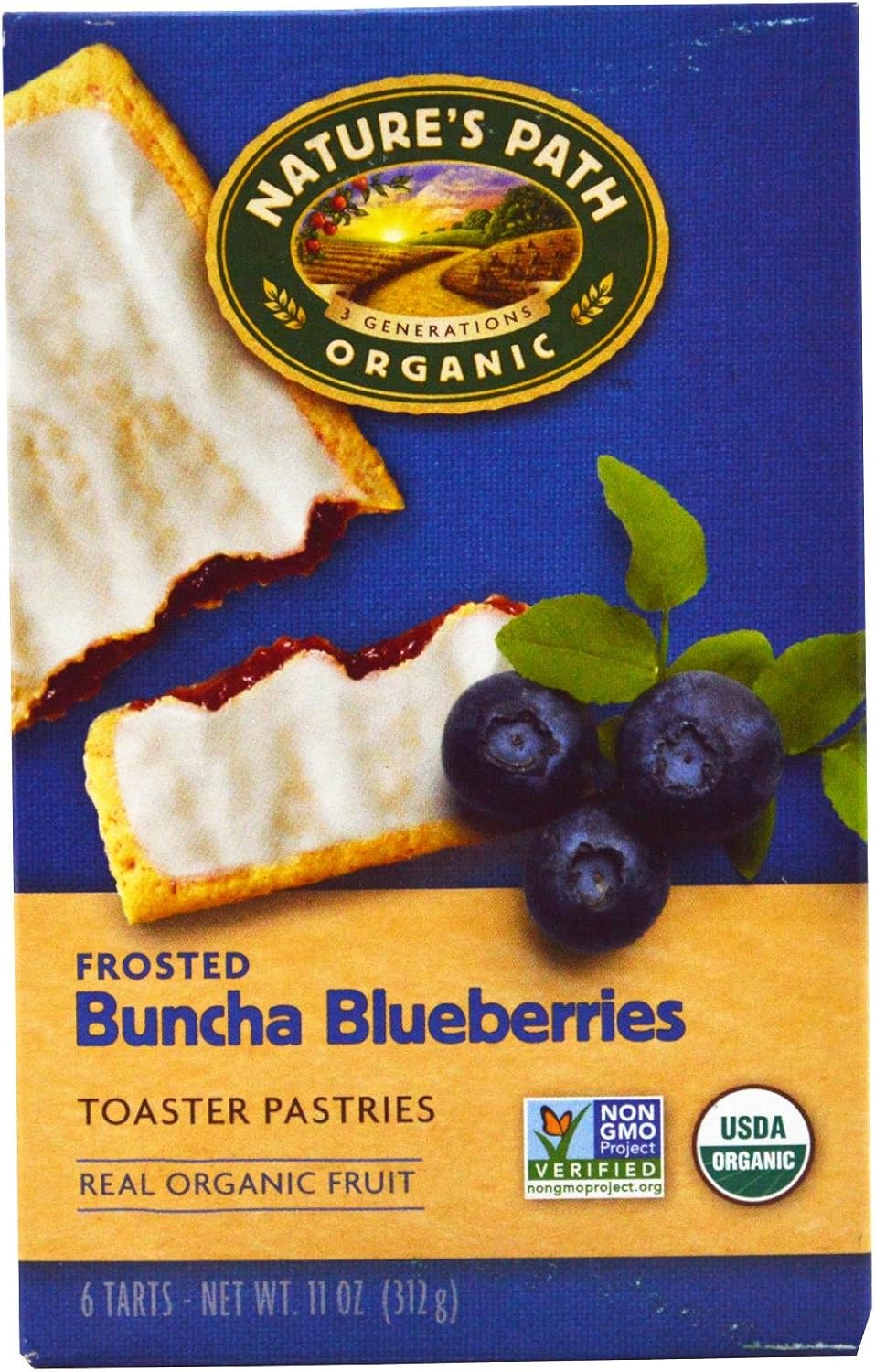 Nature's Path Organic Toaster Pastries Blueberry Frosted -- 11 oz