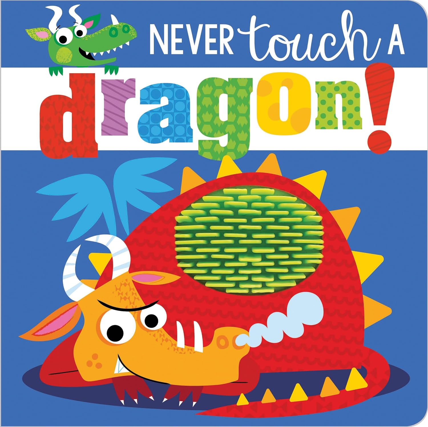 Never Touch a Dragon (Touch and Feel) (Touch & Feel)