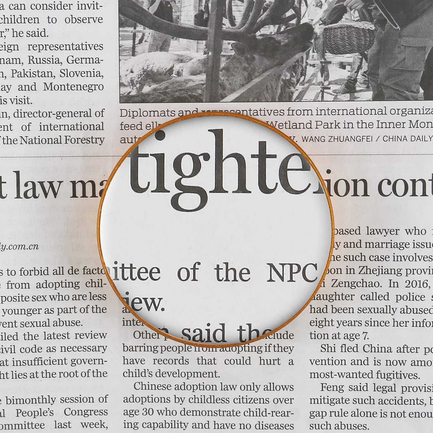 6X Paperweight Mirror Round Shape Hd Magnifying Magnifying Glass Dome Genuine Glass Paperweight Map Magnifying Glass and Reading Aid (No Handle)