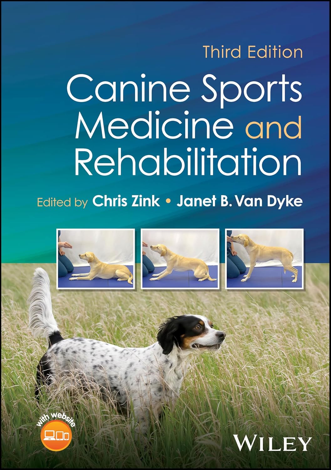 Canine Sports Medicine and Rehabilitation