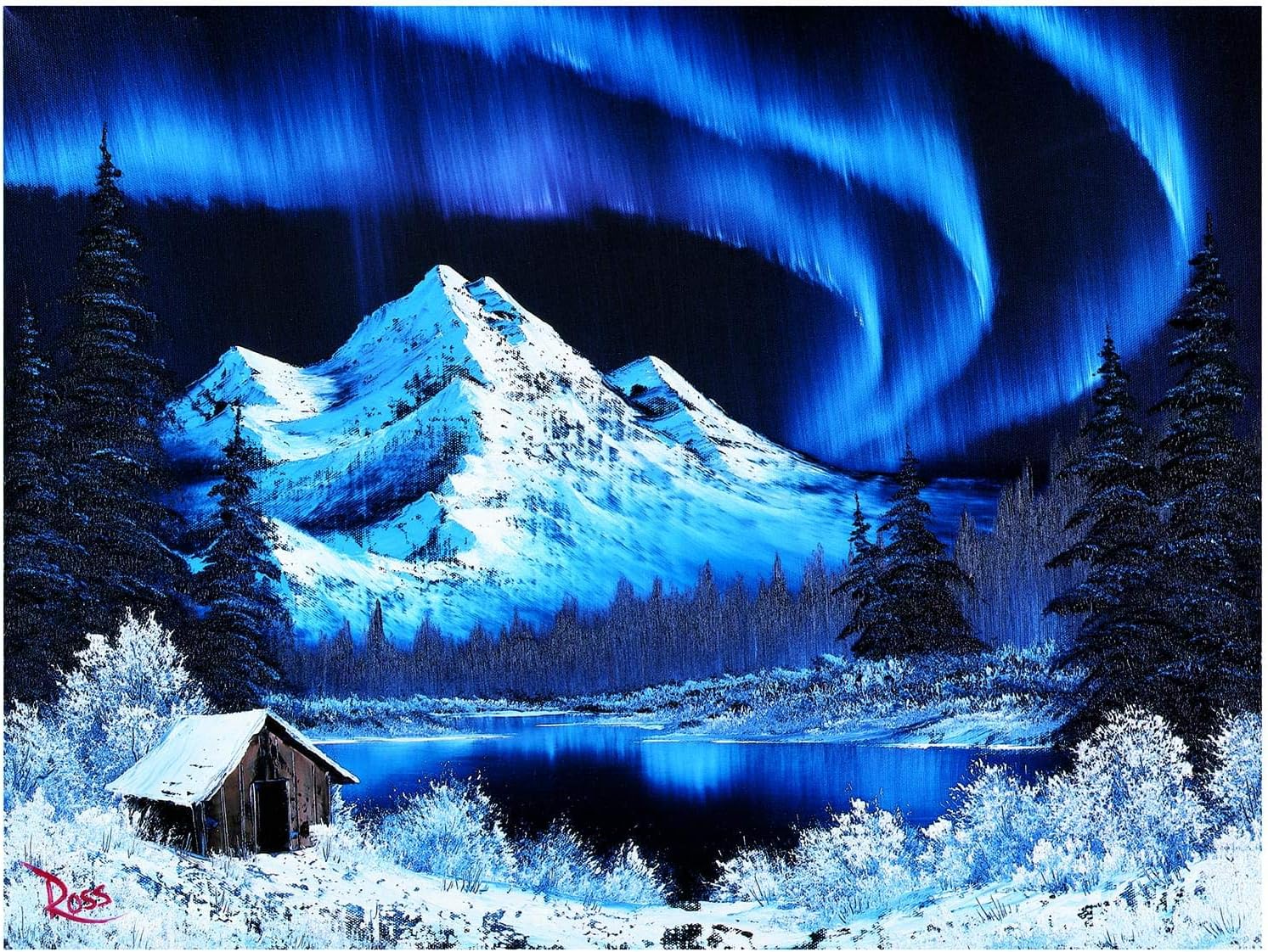 Bob Ross Northern Lights Puzzle for Adults and Kids | Aurora Borealis 1000 Piece Jigsaw Puzzle Toy | Interactive Brain Teaser for Family Game Night | 28 x 20 Inches