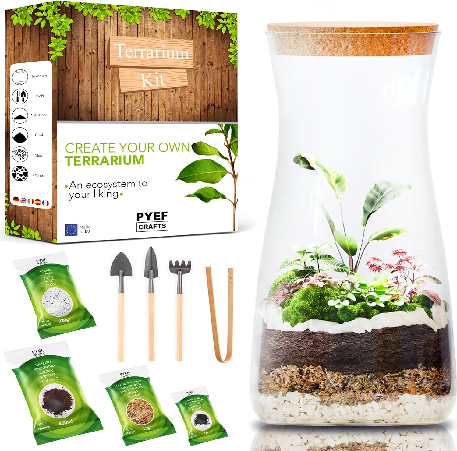 DIY Terrarium Kit for Plants - Starter Set for Garden in Bottle - Self Sustaining Ecosystem - Plant Terrarium Kit with Jar, Moss, Soil, Activated Charcoal, Stones and Tools (Set with Jar)
