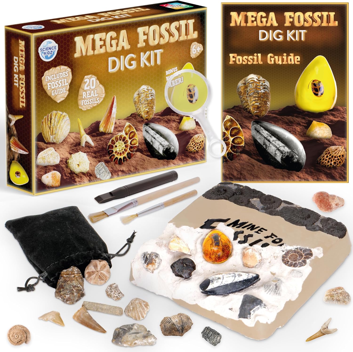 Science Kidz Mega Fossil Dig Kit - Excavate 20 Genuine Prehistoric Fossils, Educational Science Kit For Kids