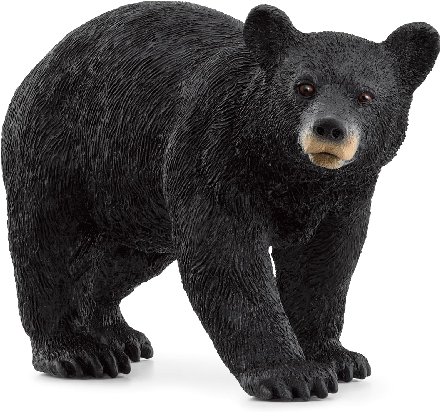 SCHLEICH 14869 American Black Bear, from 3 years WILD LIFE - Figurine, 4 x 12 x 6 cm