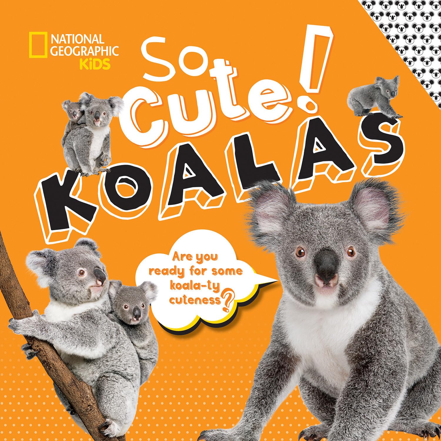 So Cute! Koalas (So Cool/So Cute)
