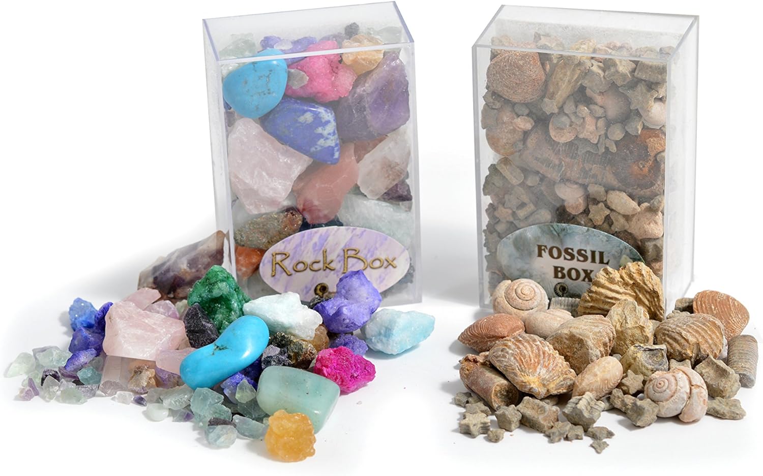 Fossil & Rock Box Set. Set of 2 Boxes!
