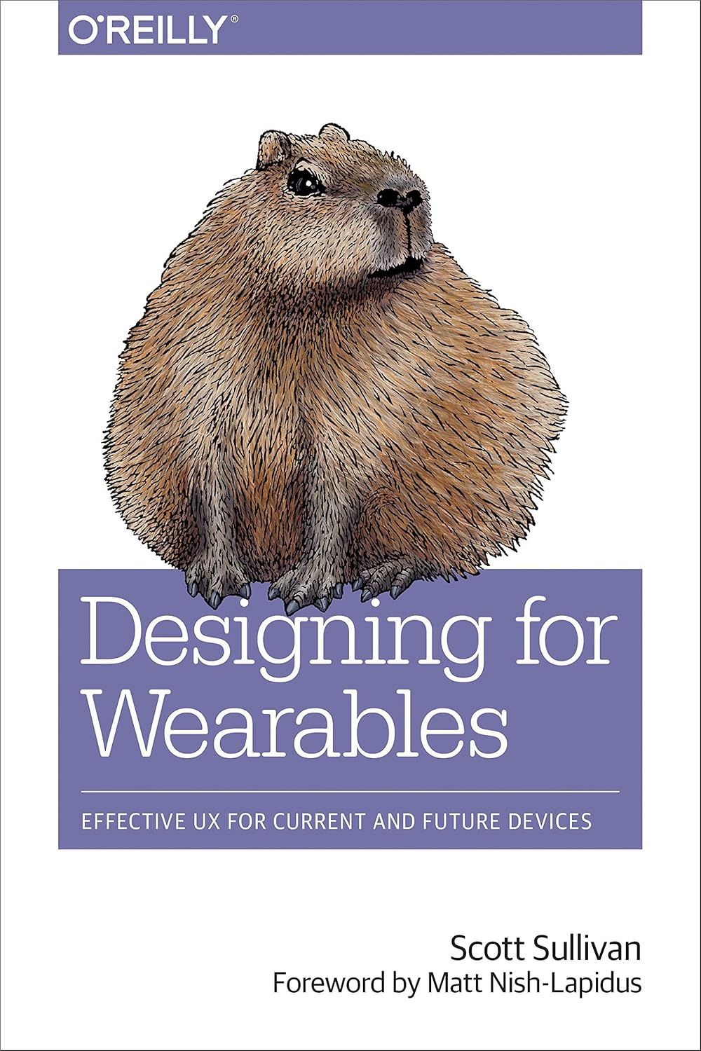 Designing for Wearables: Effective UX for Current and Future Devices