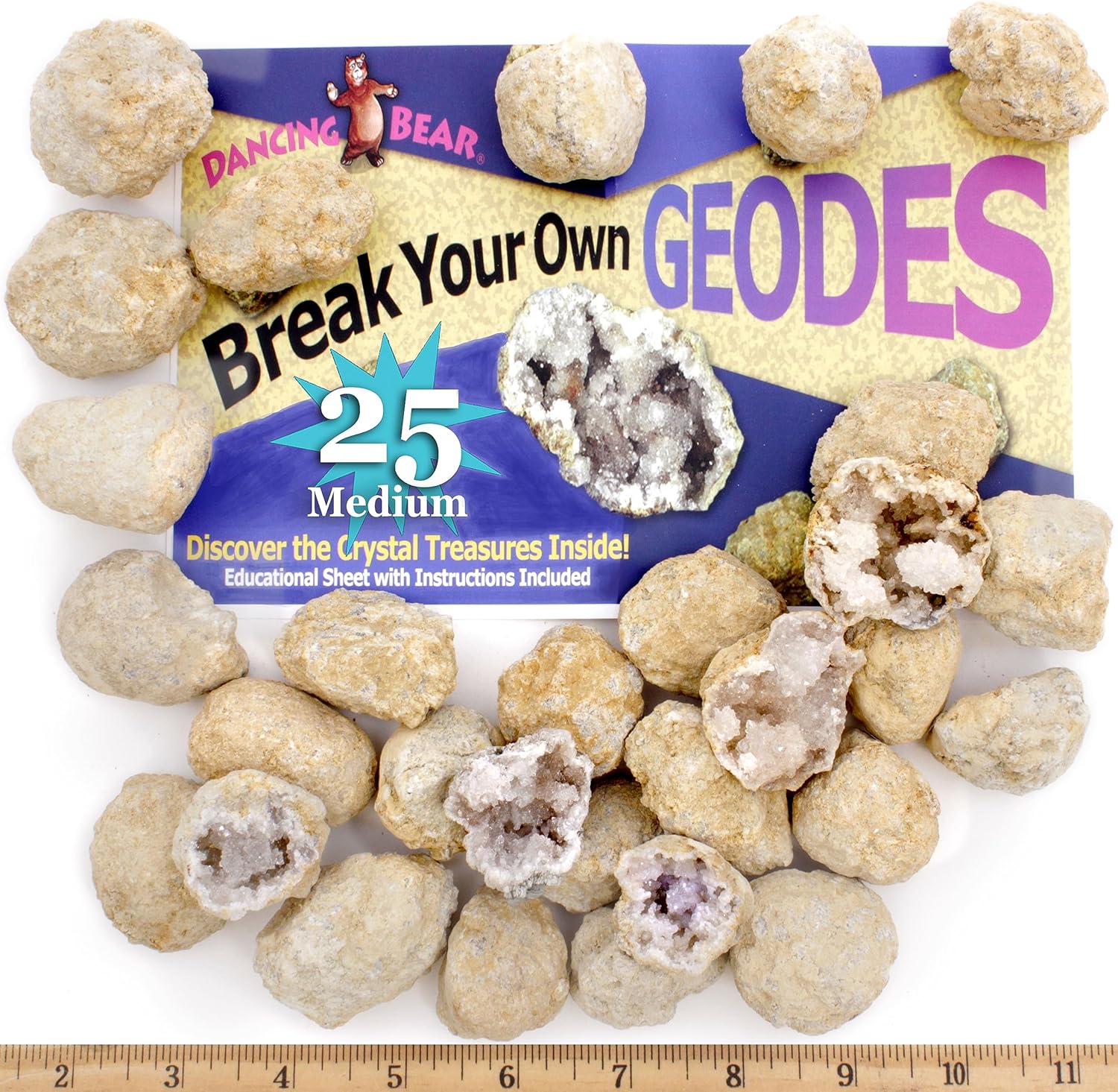 DANCING BEAR 25 Break Your Own Geodes, (Medium 1-1.5") 90% Hollow, Crack Open & Discover Amazing Surprise Crystals Inside! Educational Info and Instructions Included, Fun Party Favors & Prizes