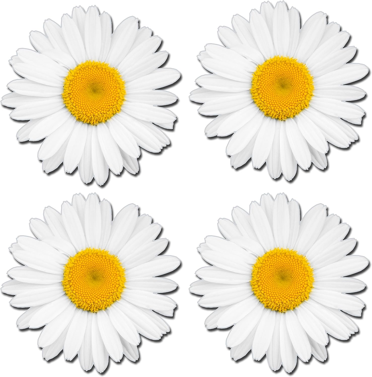 4 x Glossy Vinyl Stickers - Flowers Daisy Laptop Bin Box Mirror Car Bike #0180 (As Shown.)