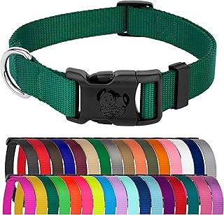Country Brook Petz - American-Made Dog Collar for Large, Medium, and Small Dogs and Puppies - Deluxe Heavy Duty Nylon in 33 Dazzling Colors (Small, 3/4 Inch Wide, Green)