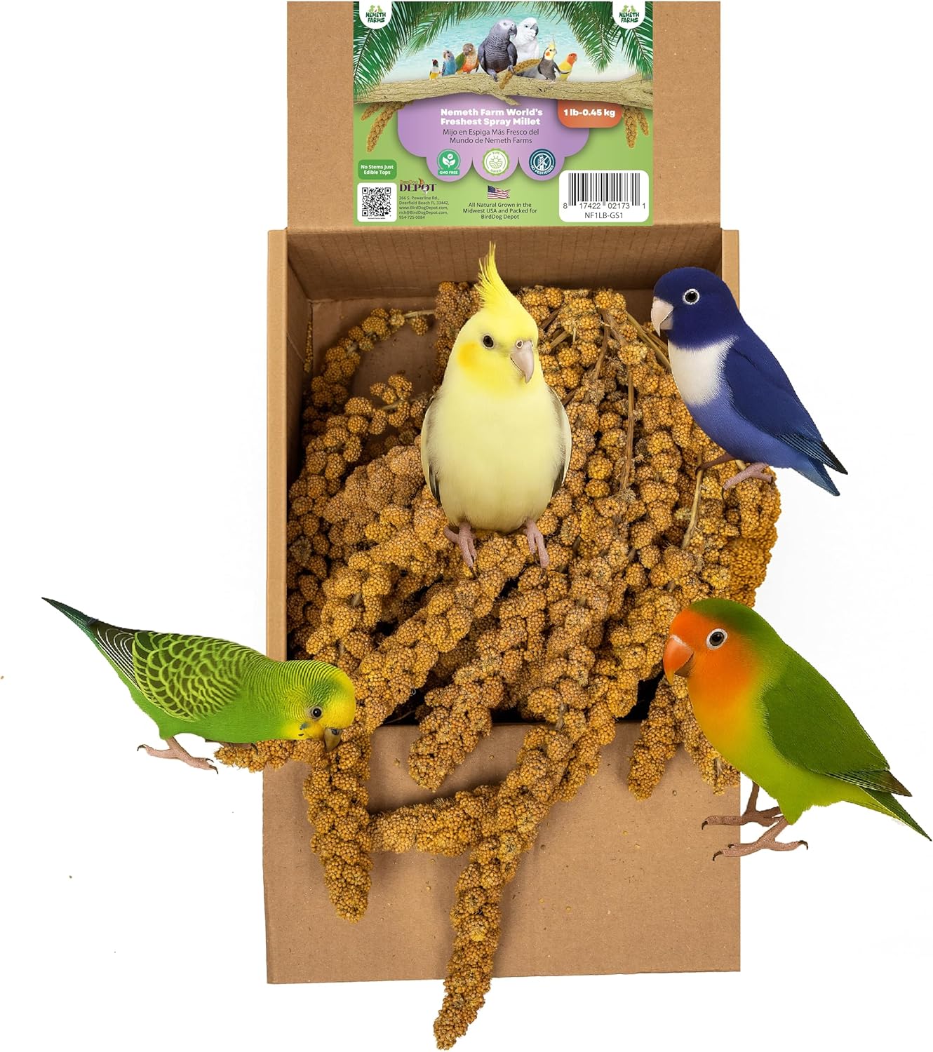 Worlds Freshest Sun-Dried Spray Millet - Non-GMO (No Stems Only Edible Tops) - Healthy Bird Treat and Supplement for All Pet Birds Parakeets Cockatiels Finches - 1lb