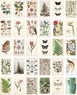 Nature Collection Postcard Set: Pack of 30 Retro Style Botanical, Nature and Birds Postcards