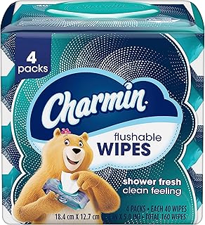 Charmin Flushable Wipes, 160 Total Wipes (4 Packs of 40)