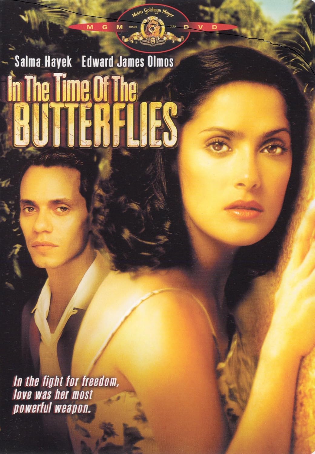 In the Time of the Butterflies [DVD]