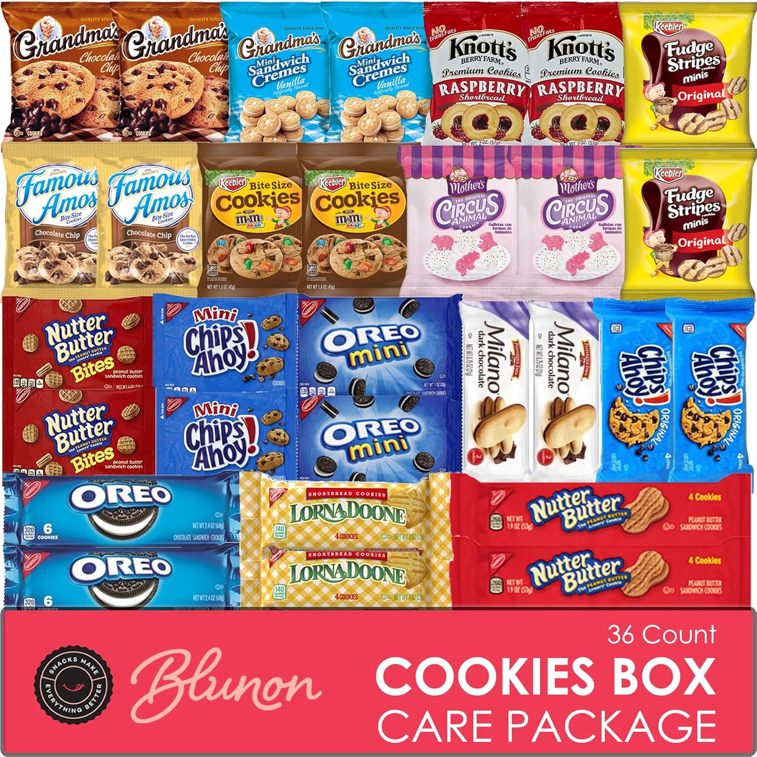 Cookies Variety Pack - Individually Wrapped Assortment - Christmas Gift - Sampler Bulk Care Package Gift Box (30 Count)