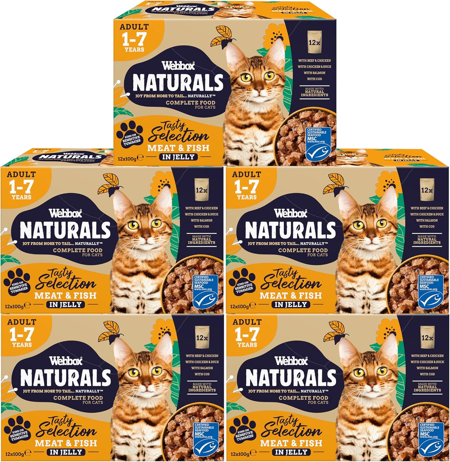 Webbox Naturals Complete Adult Wet Cat Food, 60 x Meat & Fish in Jelly Variety Pack - Made with Natural Ingredients and No Nasties (60 x 100g Pouches)