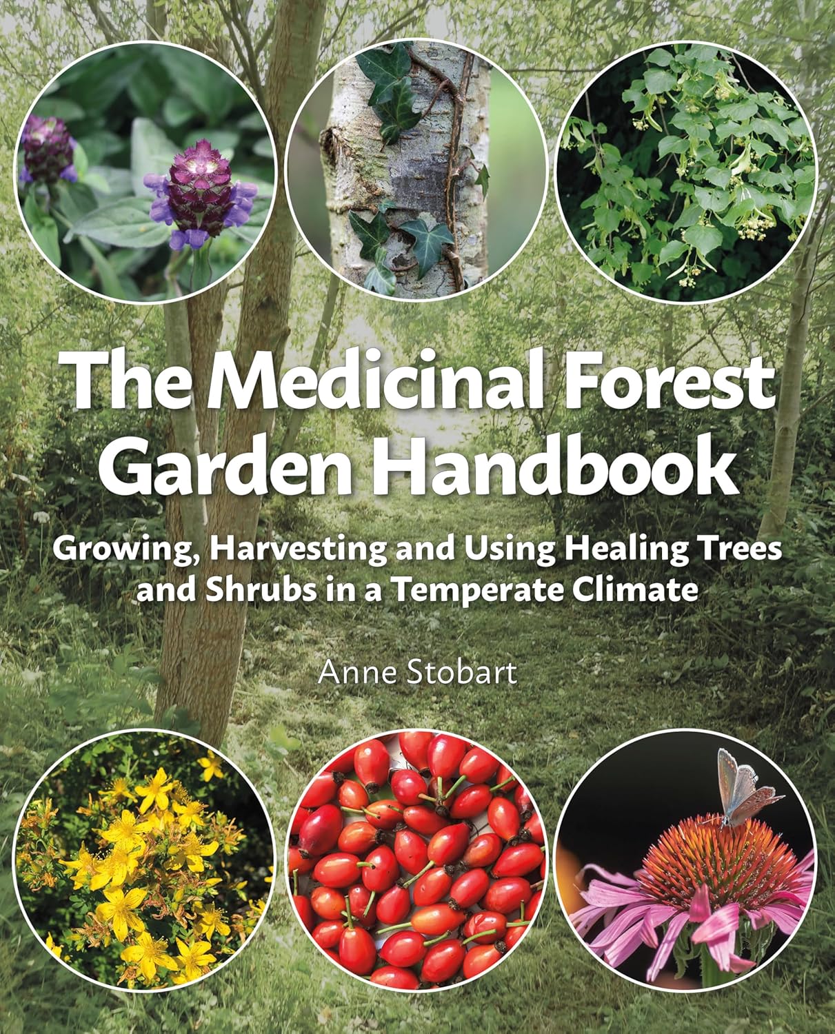The Medicinal Forest Garden Handbook: Growing, harvesting and using healing trees and shrubs in a temperate climate